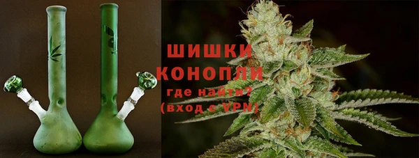 соль ск Медногорск