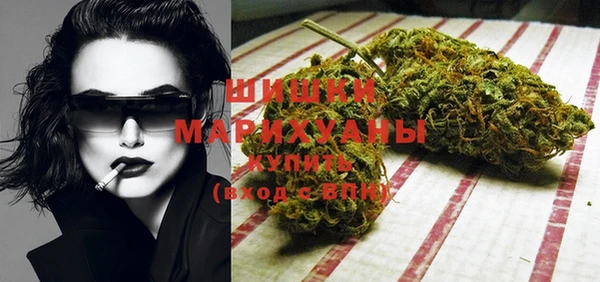дмт Медвежьегорск