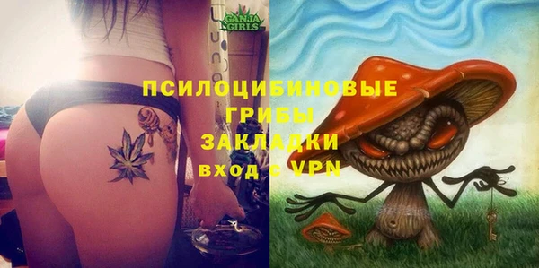 соль ск Медногорск