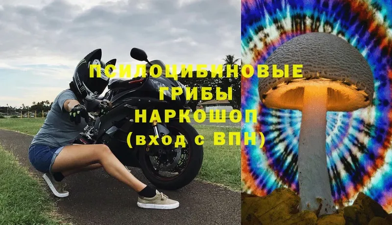 omg ссылки  Югорск  Галлюциногенные грибы прущие грибы 