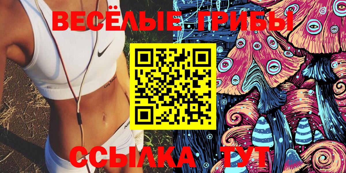 Югорск  Псилоцибиновые грибы GOLDEN TEACHER  Вход с VPN  Галлюциногенные грибы GOLDEN TEACHER 